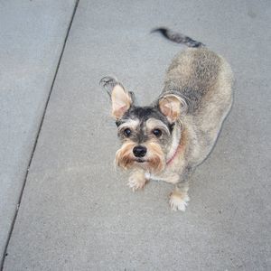 Meet your Posher, Mary jane